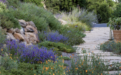 Safer West County’s Member Gardens Demonstrate Firesafe Beauty